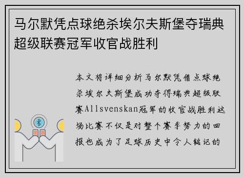 马尔默凭点球绝杀埃尔夫斯堡夺瑞典超级联赛冠军收官战胜利